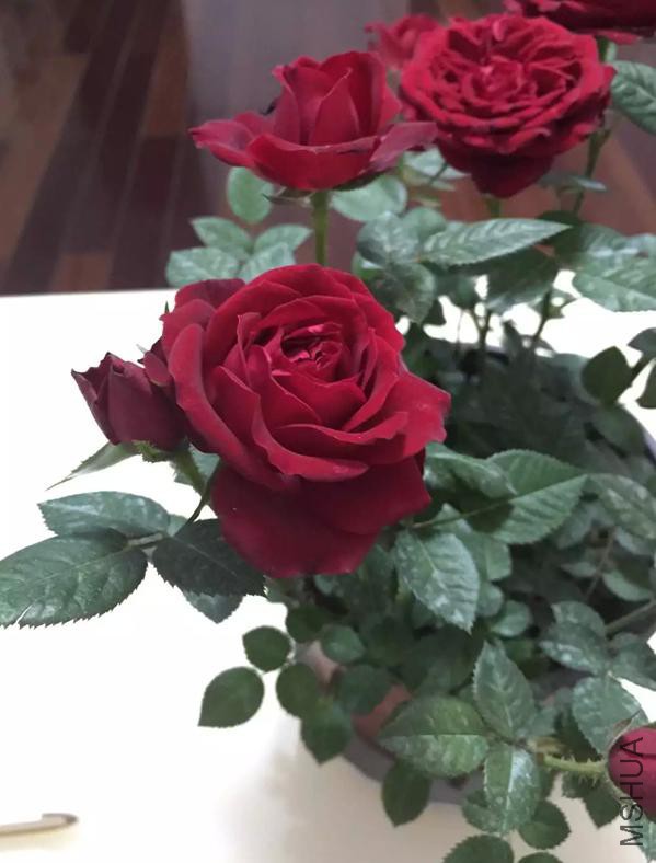 QQ�������ͼ_20160419143715_6ACF9032DD4B408294202BD9EA7D2C62.jpg