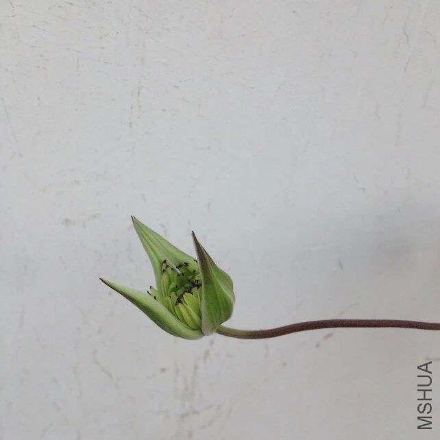 QQͼƬ20160419144346.jpg