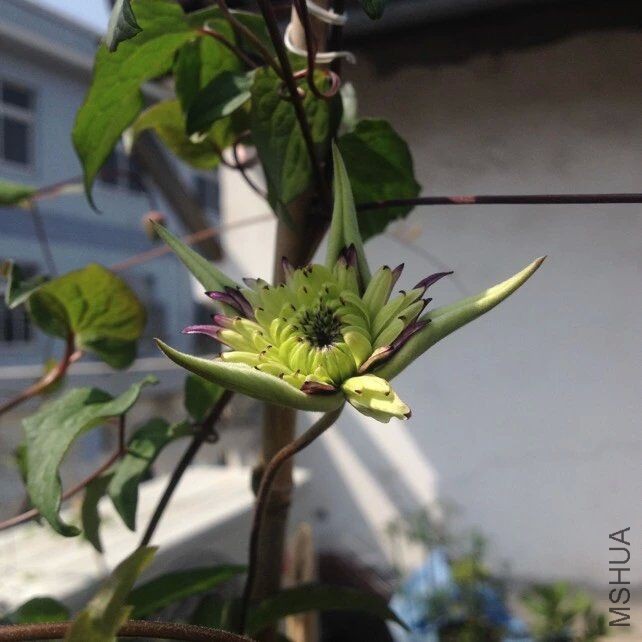 QQͼƬ20160419144359.jpg