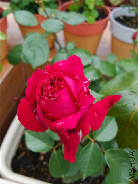 20160416_03.jpg