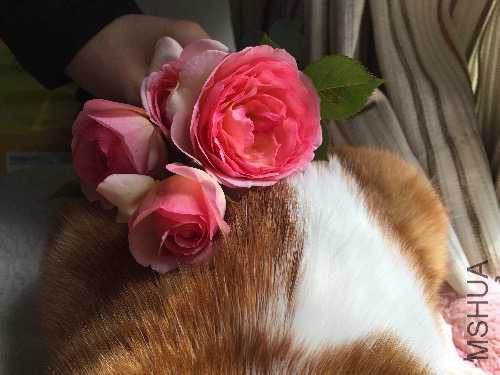 image.jpeg