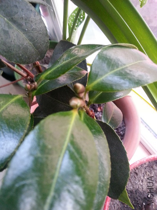 20160418_175518.jpg