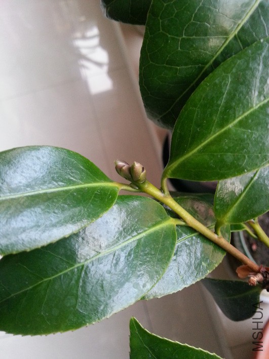20160418_175529.jpg