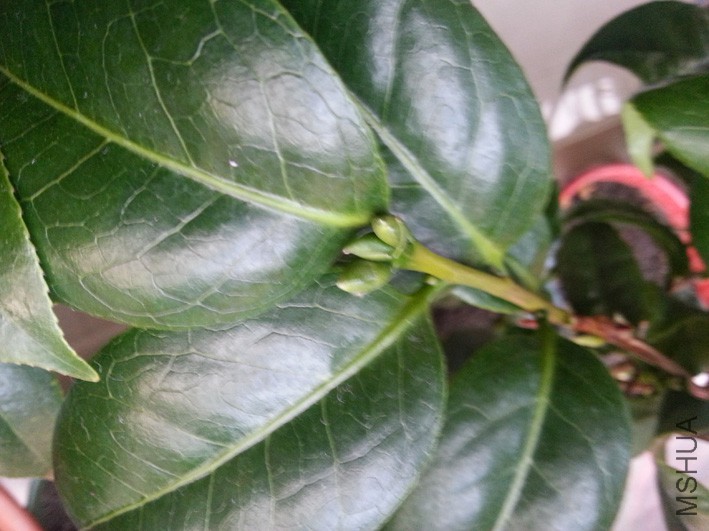 20160418_175535.jpg