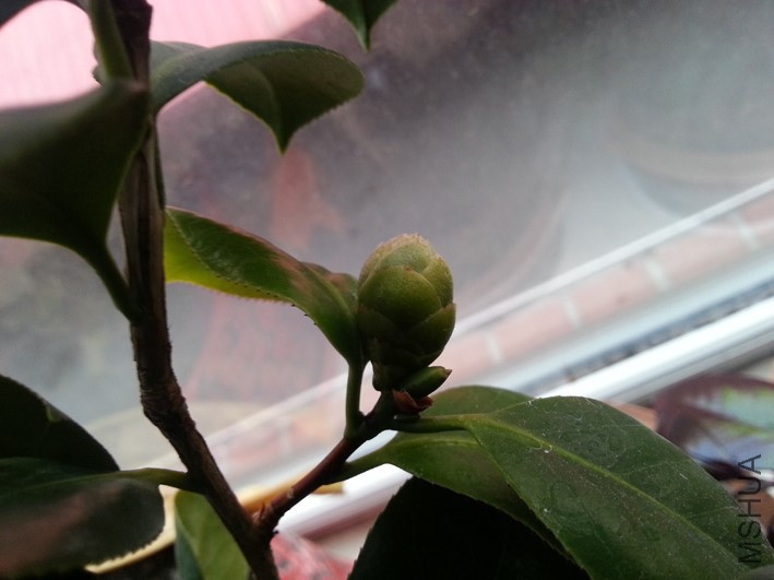 20160418_175558.jpg