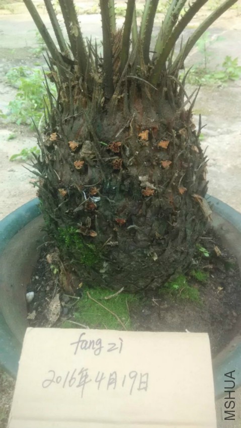 psb (2).jpg