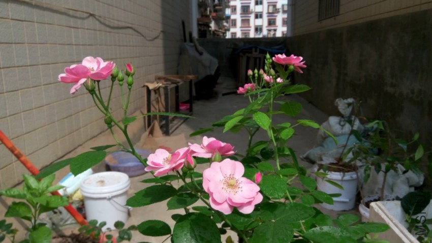 P60411-144947_1024x576.jpg