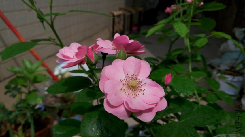 P60411-144957_1024x576.jpg