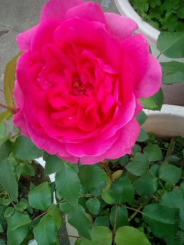 QQͼƬ20160420092702.jpg