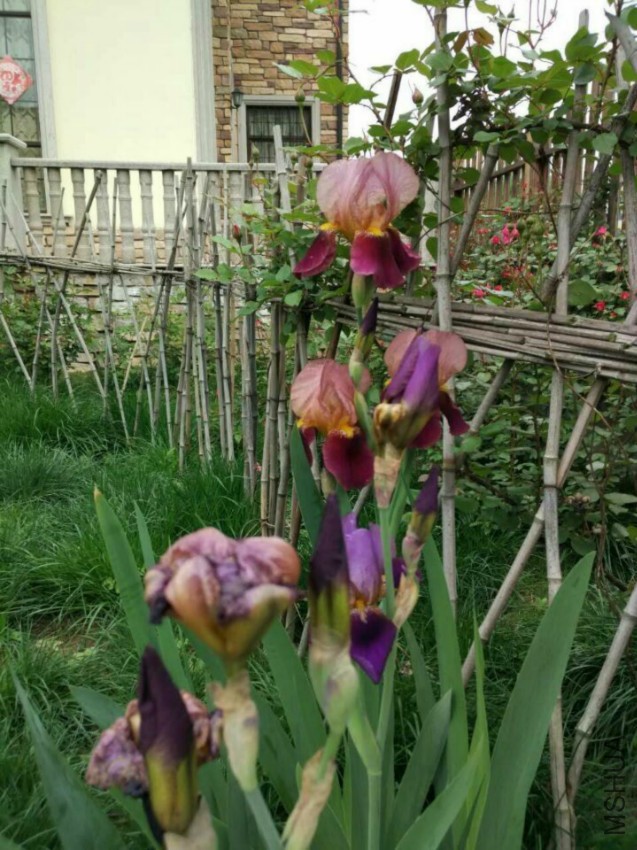 QQͼƬ20160420104845.jpg
