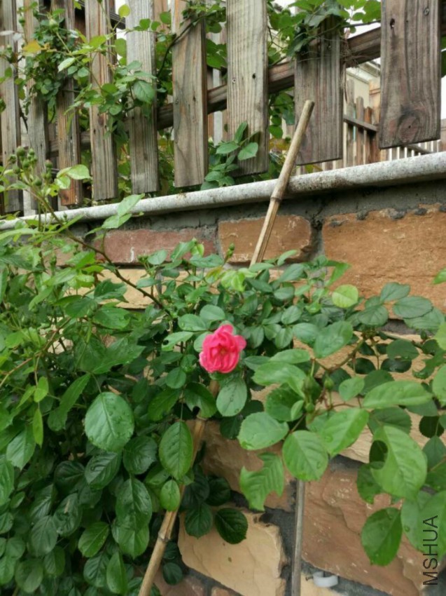 QQͼƬ20160420104933.jpg