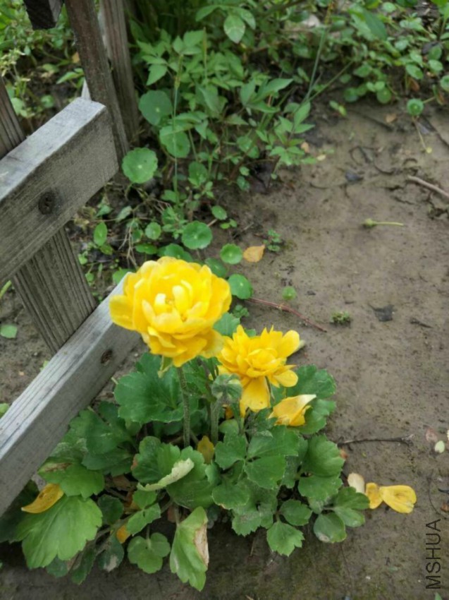 QQͼƬ20160420105005.jpg