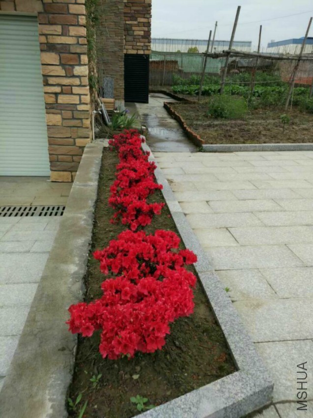 QQͼƬ20160420105115.jpg