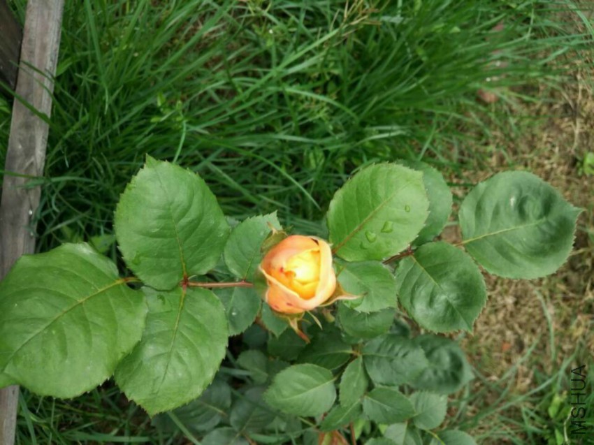 QQͼƬ20160420105105.jpg