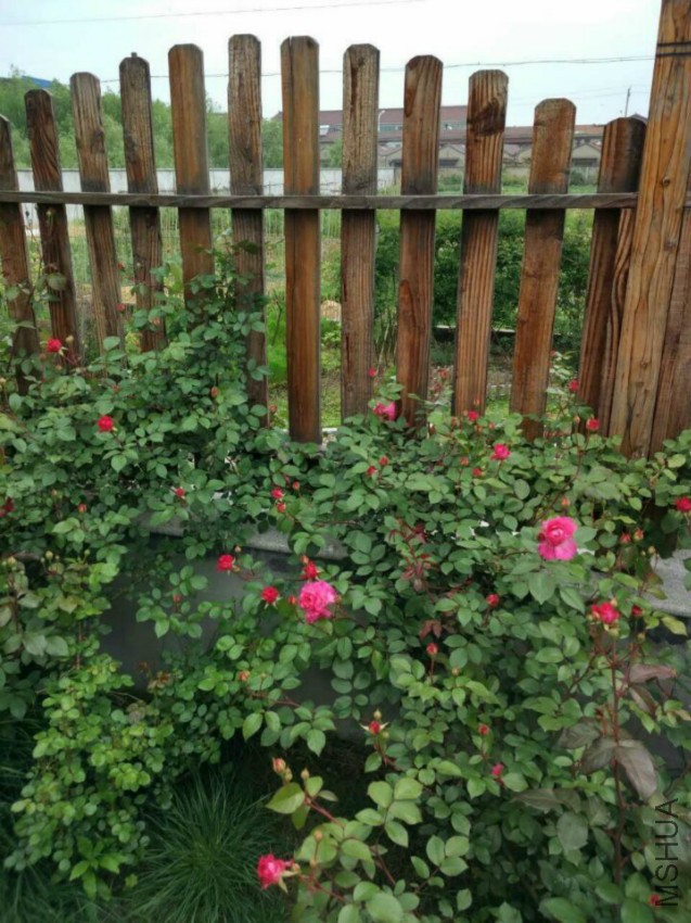 QQͼƬ20160420105058.jpg