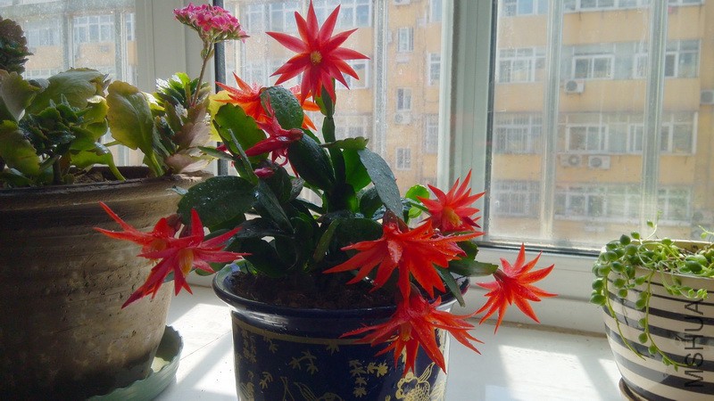20160403_8.jpg