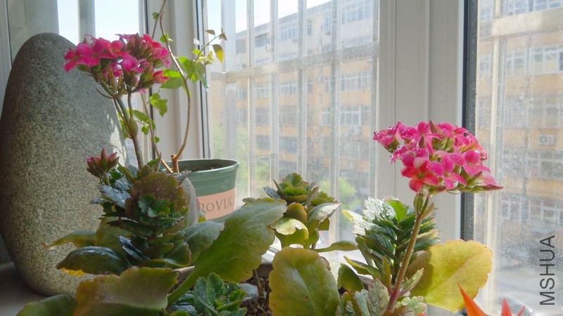 20160403_11.jpg