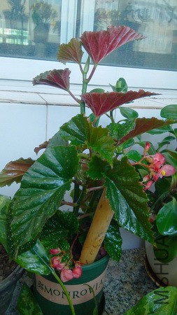 20160403_12.jpg