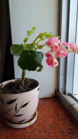 20160403_47.jpg