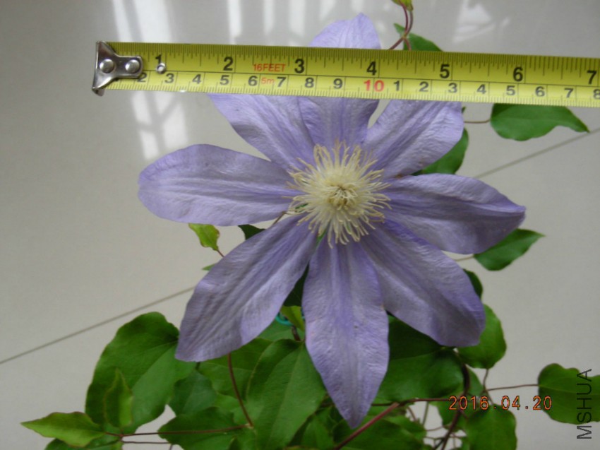 DSCN6839.jpg