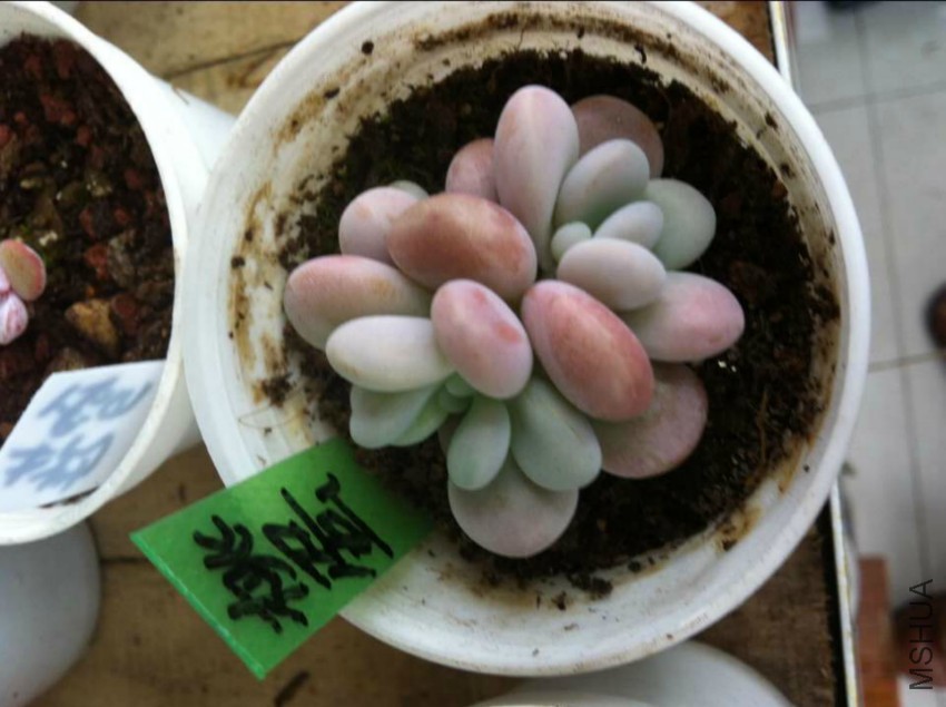 QQͼƬ20160420132614.jpg