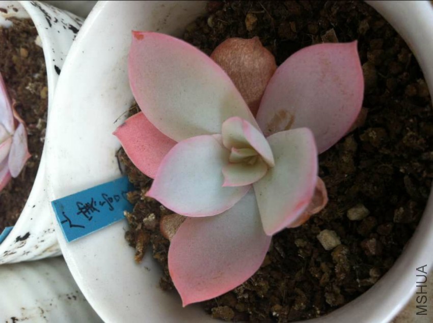 QQͼƬ20160420132617.jpg