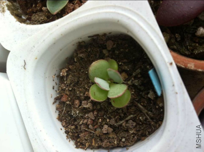 QQͼƬ20160420132631.jpg