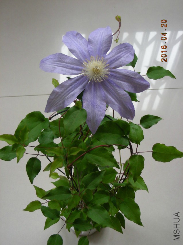 DSCN6835.jpg
