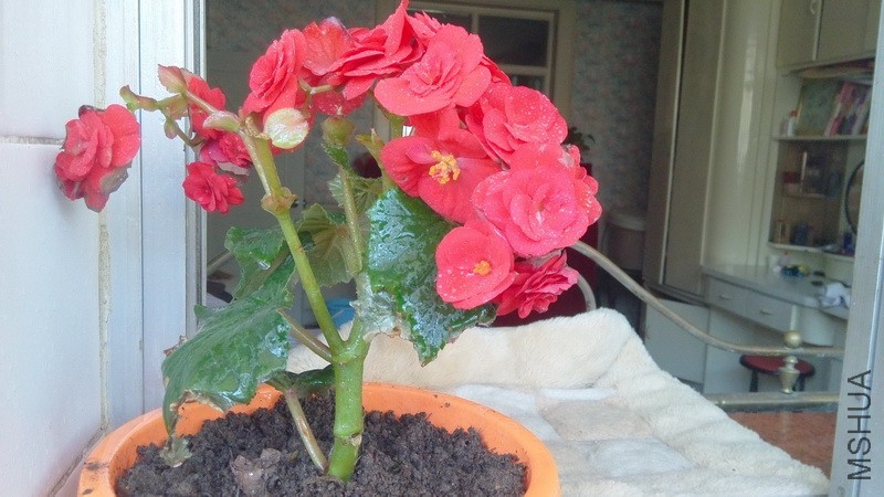 20160403_51.jpg