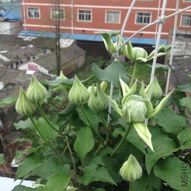 QQͼƬ20160420141231.jpg