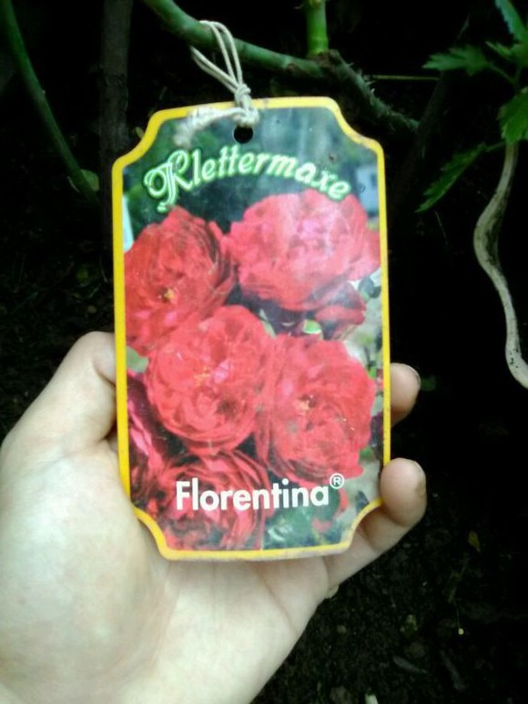8af3d4160924ab1812c7acaf32fae6cd79890bee.jpg