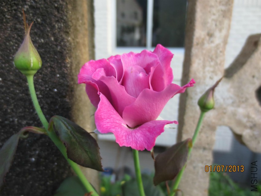 ��Ƭ 024.jpg
