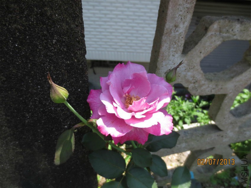 ��Ƭ 038.jpg