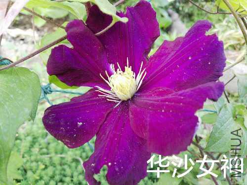 IMG_20160420_143002.jpg