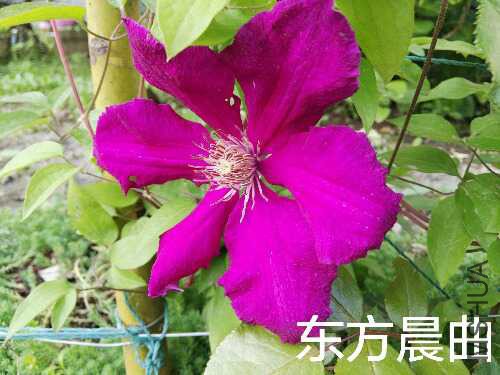 IMG_20160420_142851.jpg