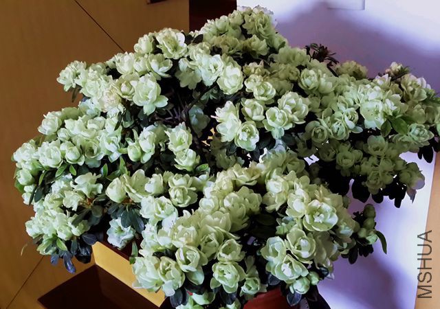 20160419_115511_����.jpg