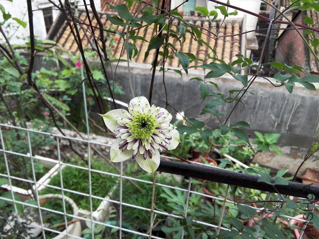 ͼƬ05.jpg