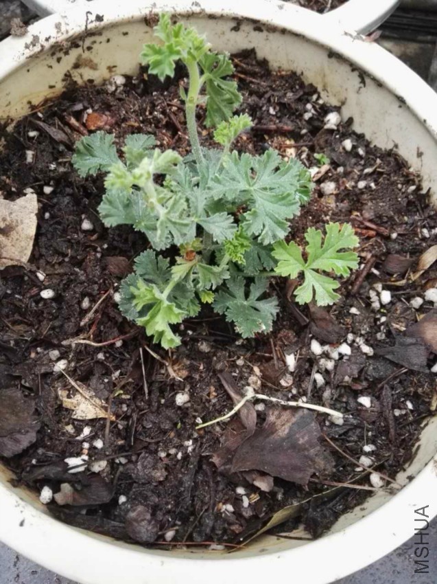 ������Դ��ˣ�