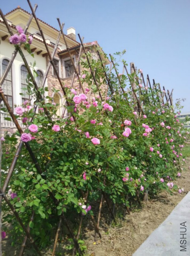 ���Ե�1��Ļ�