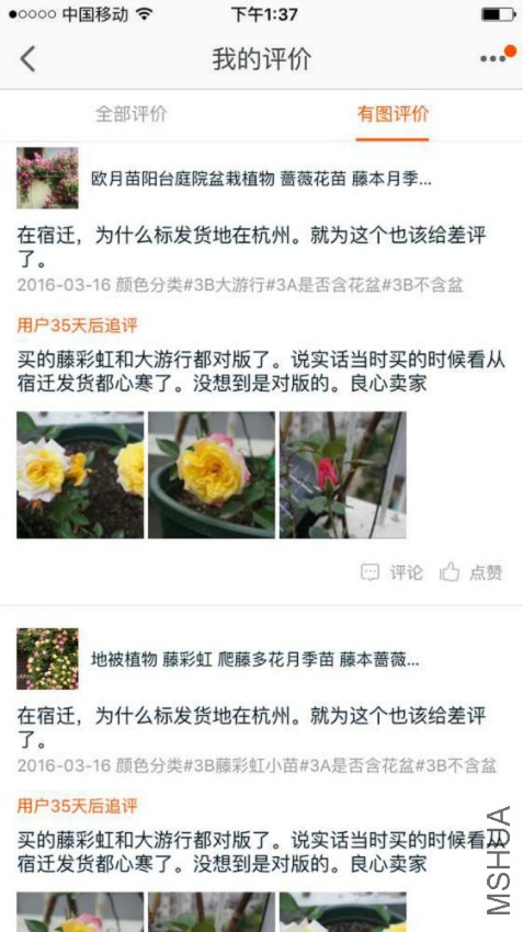 �������������ǲ���