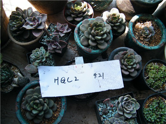 DSCF8614.jpg