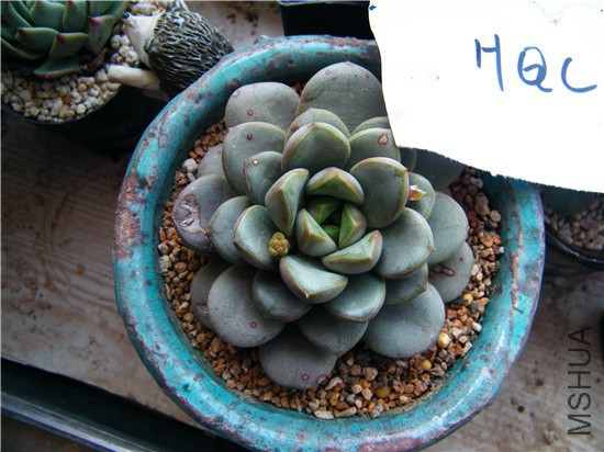 DSCF8615.jpg