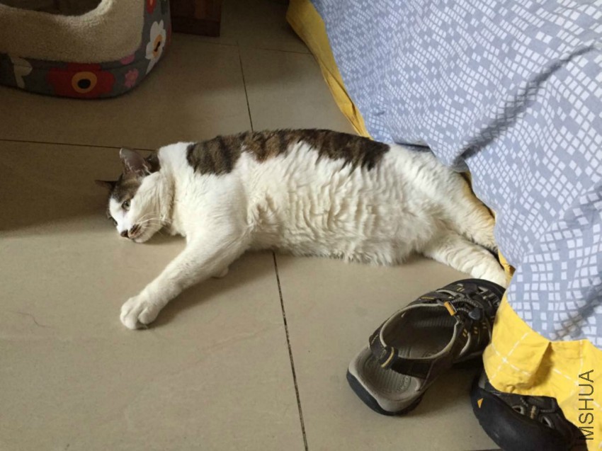 ���������