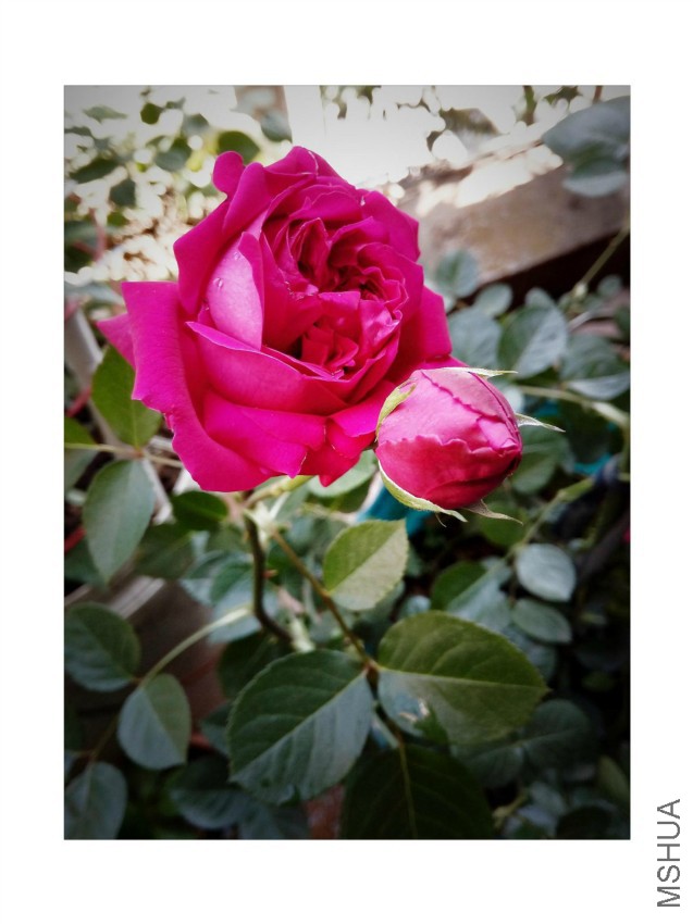 C360_2016-04-20-17-42-52-506.jpg