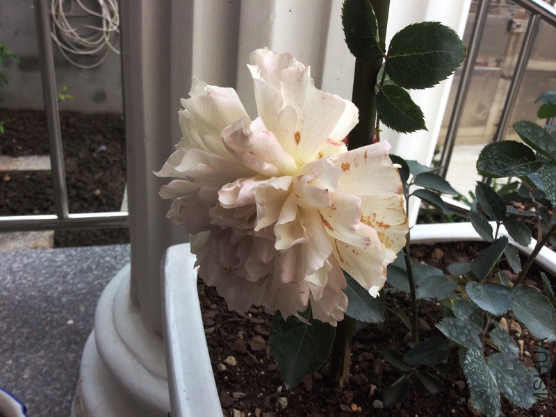 �Ӱ��д���ʹ�л�