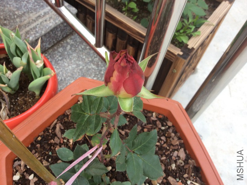 Ӣ�׽��Ļ���