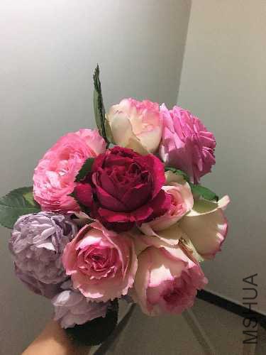 image.jpeg