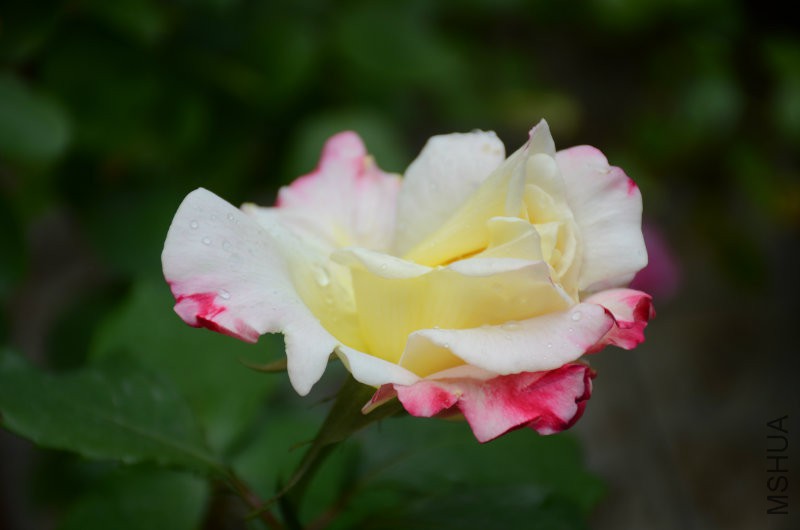 DSC_3901.JPG