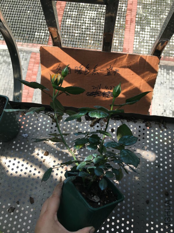 ������4