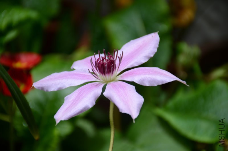 DSC_3937.JPG